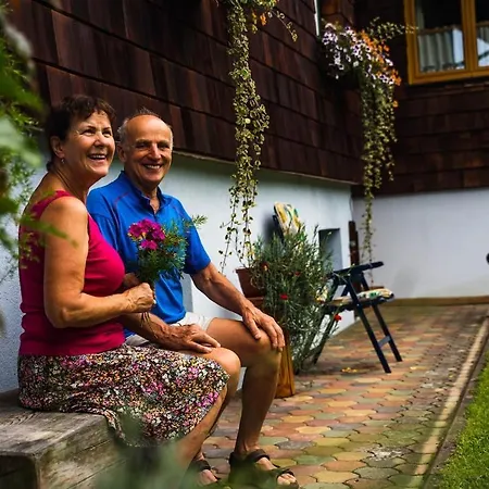 Ferienholzhaus In Im Gesäuse In Der Steiermark Apartment *