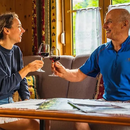 Apartment Ferienholzhaus In Im Gesäuse In Der Steiermark Sankt Gallen